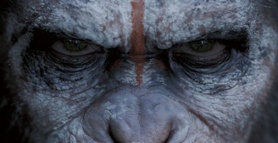 Planeta dos Macacos – O Confronto